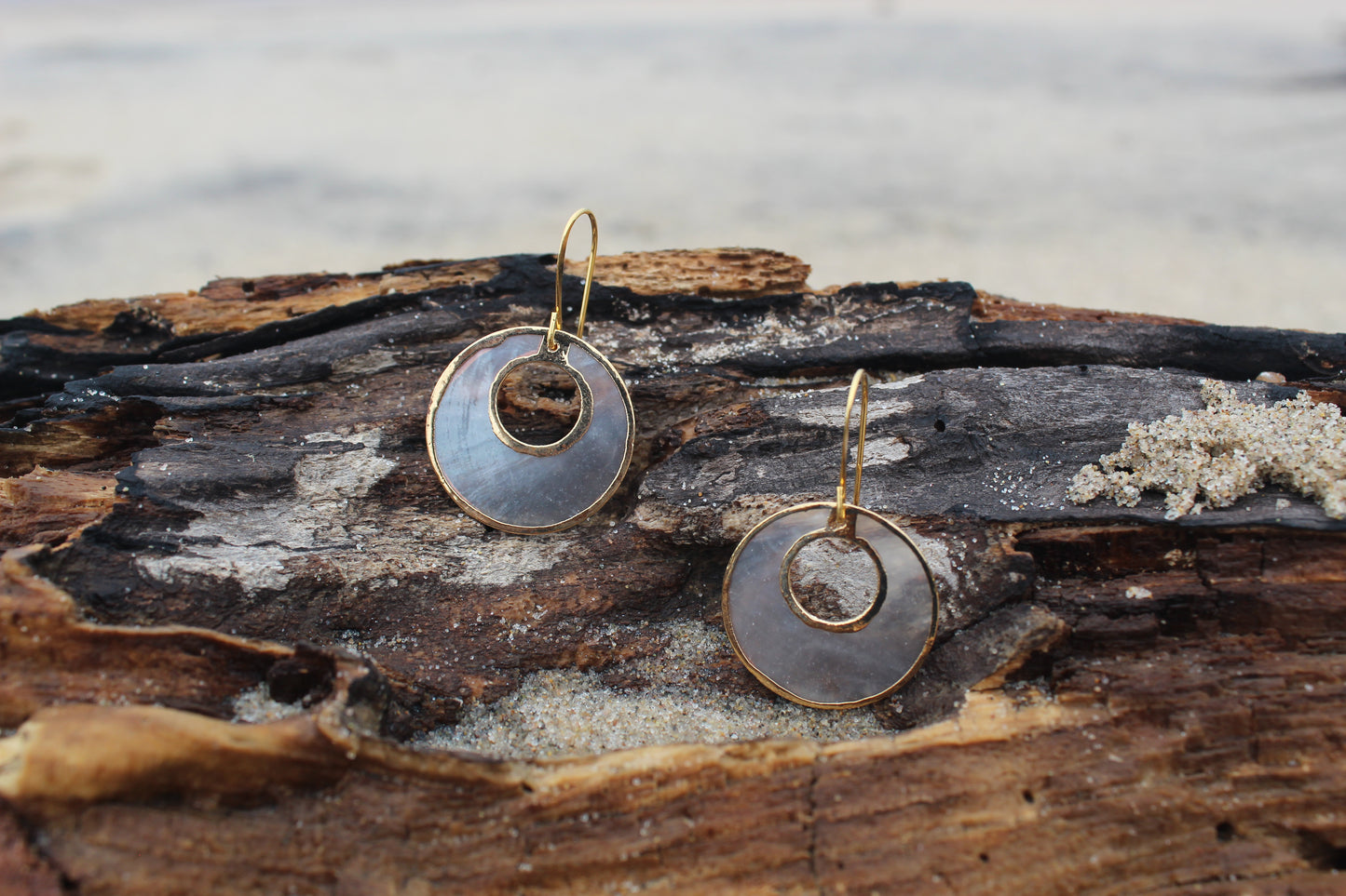 Gold-Edged Cut Shell Earrings