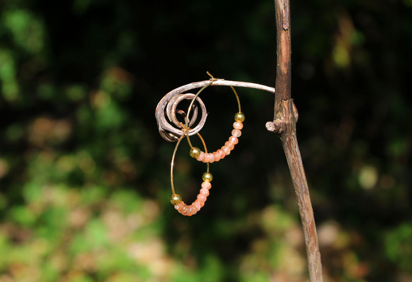 oregon sunstone gold hoop earrings on tree branch
