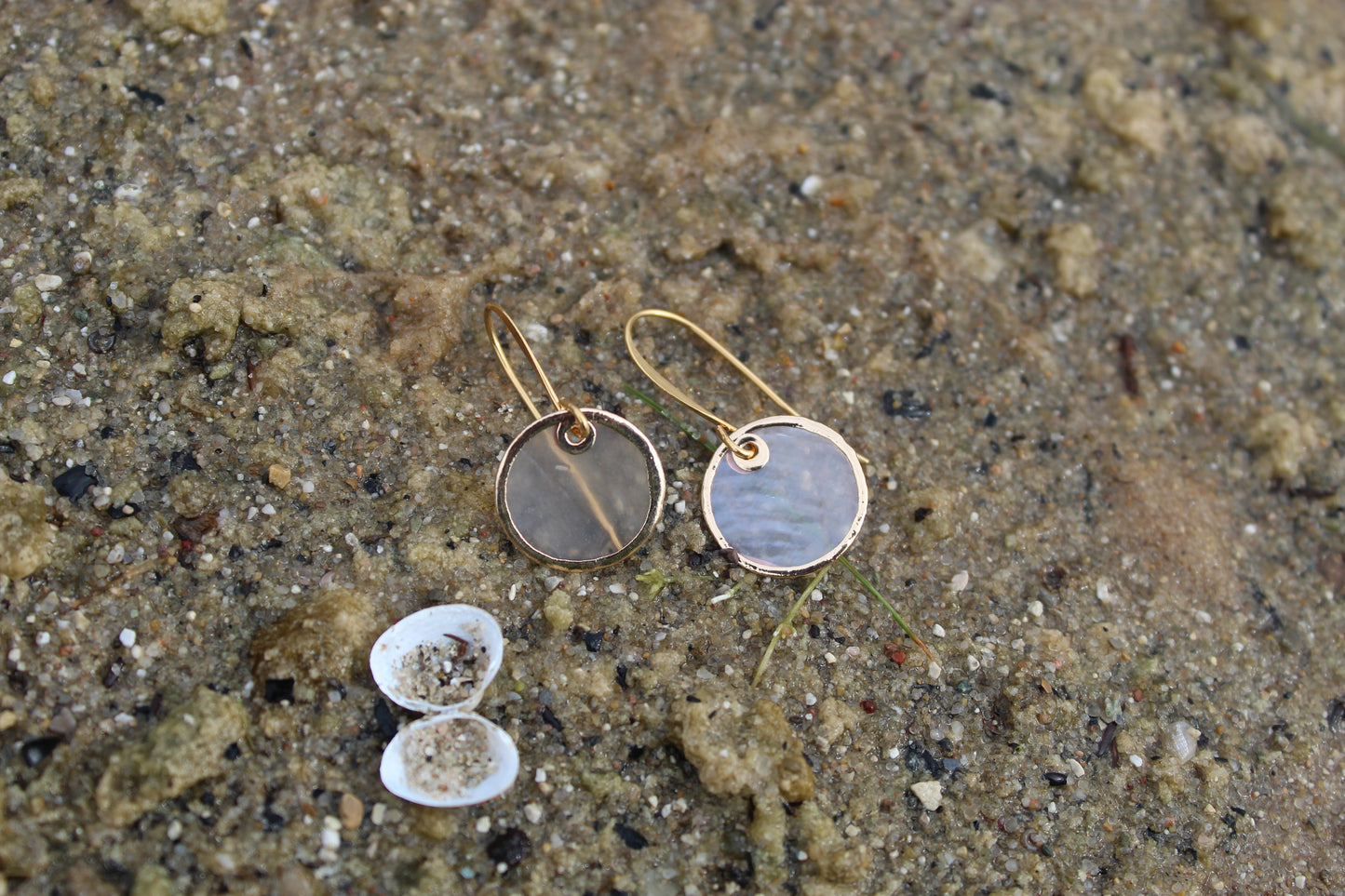 Mini Cut Shell Gold Edge Earrings