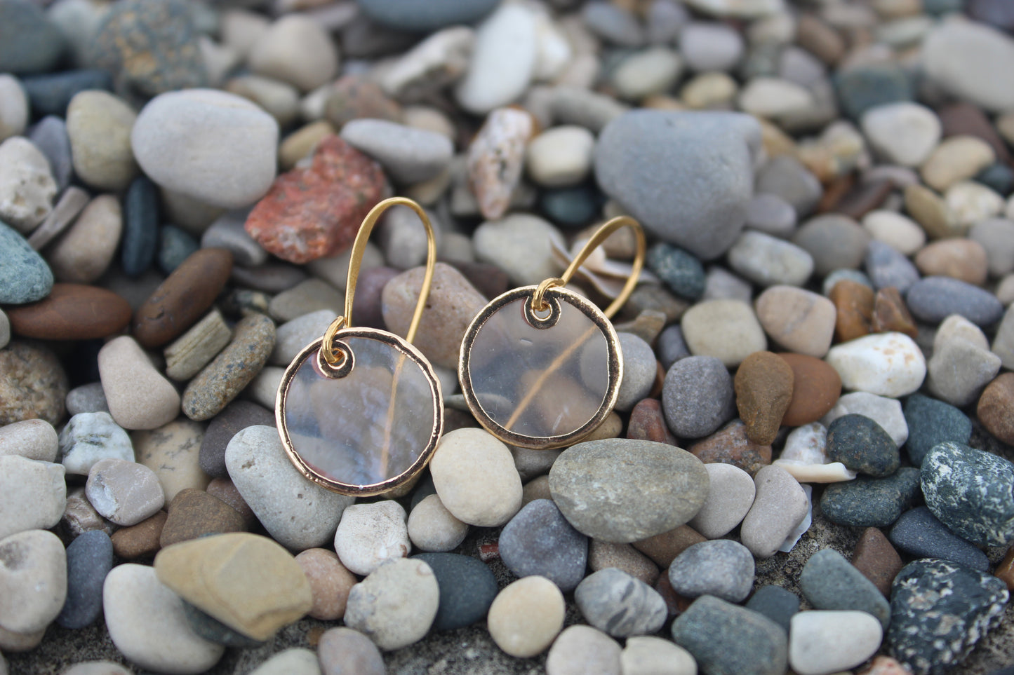 Cut Shell Earrings with Golden Accents