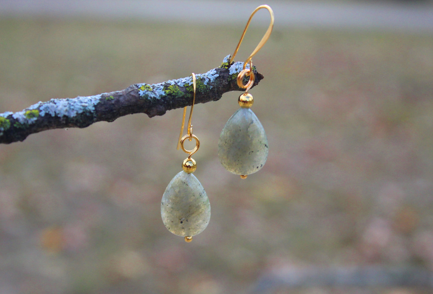 Labradorite gold drop earrings hanging from branch