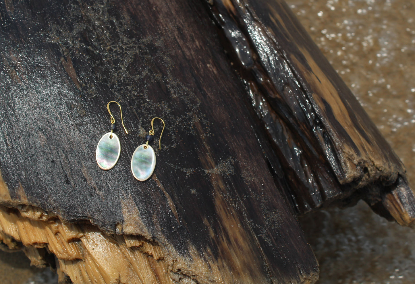 Blue Iolite Gold-Edged Cut Shell Earrings