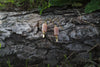 Sunwarmed Path Peach Moonstone Drop Earrings by Luminous Moon