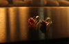 Natural amber gold drop earrings by Luminous Moon
