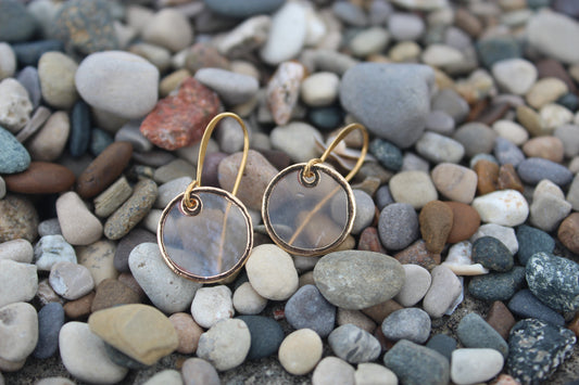 Cut Shell Earrings with Golden Accents