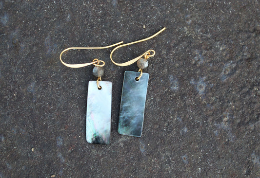 Grey Moonstone Cut Shell Earrings